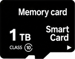 标准卡 1TB 内存卡