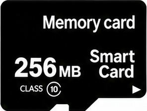标准卡 256MB 内存卡